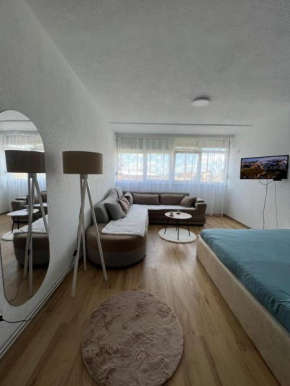 Studio Cozy Apartment